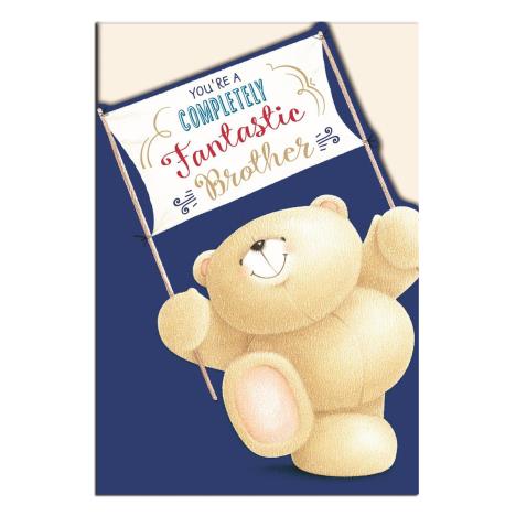 Fantastic Brother Forever Friends Birthday Card